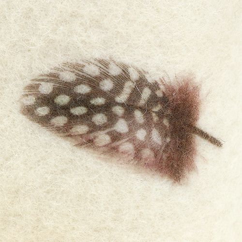 Floristik24 Bande de feutrine crème avec motif plume 15 cm 2 m