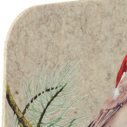 Floristik24 Dessous de plat en feutre gris rouge-gorge 40 x 30 cm, lot de 4