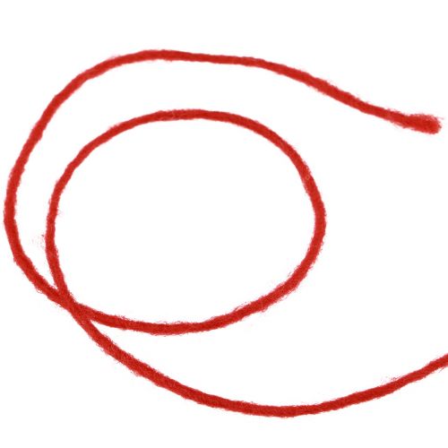 Article Cordon feutre fil de laine cordon de laine fil de mèche rouge 100m