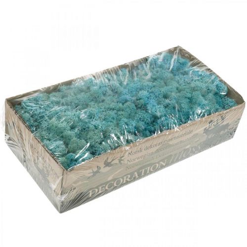 Article Mousse de décoration bleu clair aigue-marine mousse de renne mousse artisanale 400g