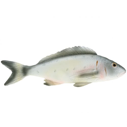 Floristik24 Perche poisson décorative L27.5cm