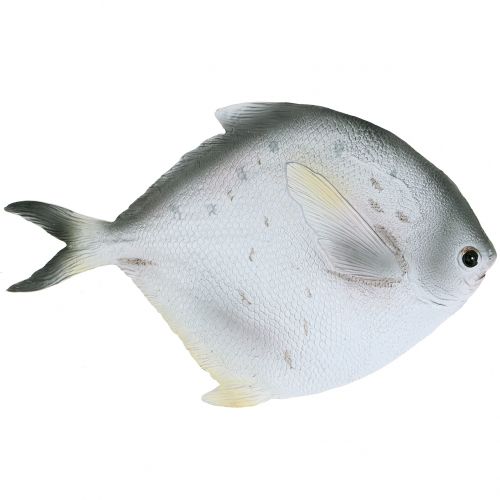 Floristik24 Déco poisson L21cm