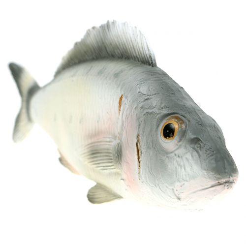 Floristik24 Perche poisson décorative L27.5cm