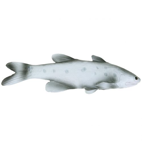 Floristik24 Déco poisson L24cm
