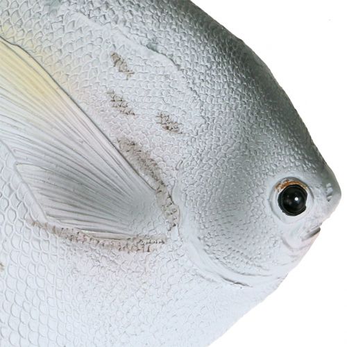Article Déco poisson L21cm