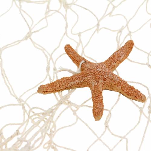 Floristik24 Filet de pêche avec décor de mer en polyrésine naturelle 150×200cm comme décoration murale