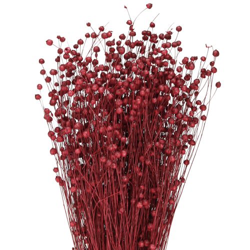Lin Bordeaux Rouge Décoration Séchée Fleurs Séchées L55cm 80g