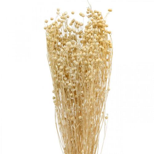 Lin blanchi séché graminées séchées fleuristerie 52cm 160g