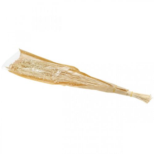 Article Lin blanchi séché graminées séchées fleuristerie 52cm 160g