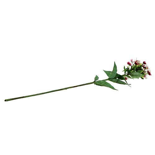 Floristik24 Flamme fleur blanche 72cm