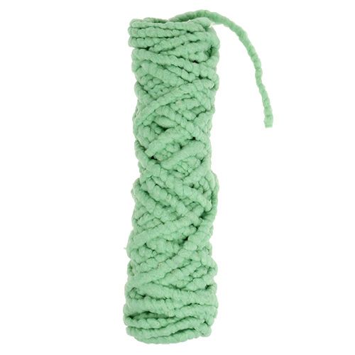 Floristik24 Mirabell polaire vert clair 25m