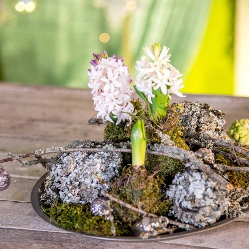 Article Décoration naturelle lichen avec mousse grise 500g