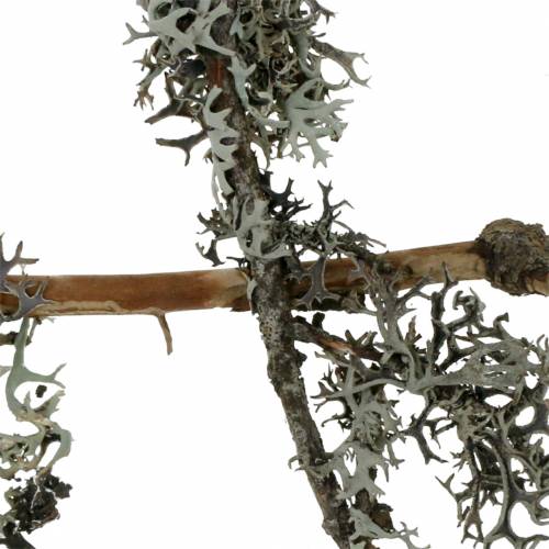 Article Mousse de lichen mousse grise avec branches 750g
