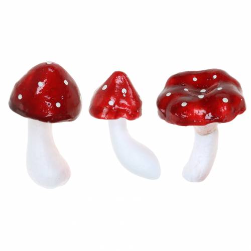 Floristik24 Set d&#39;agaric mouche déco rouge, blanc 6–7cm 12pcs