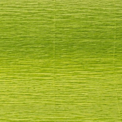 Article Papier crépon pour fleuriste, vert herbe, 50 x 250 cm, 5 pièces