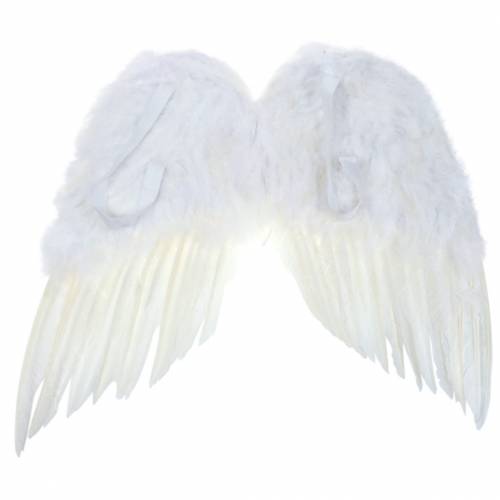 Floristik24 Ailes Plumes Blanches 55x52cm