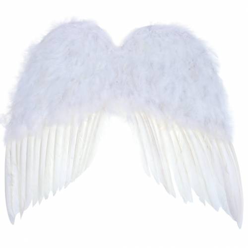 Floristik24 Ailes Plumes Blanches 55x52cm