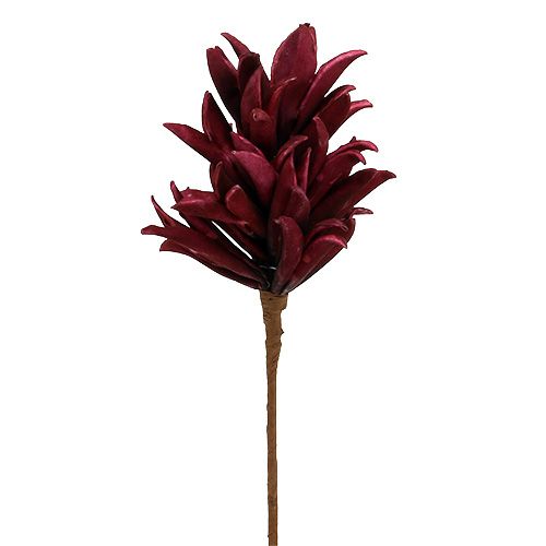 Floristik24 Fleur en mousse bordeaux 14cm L66cm