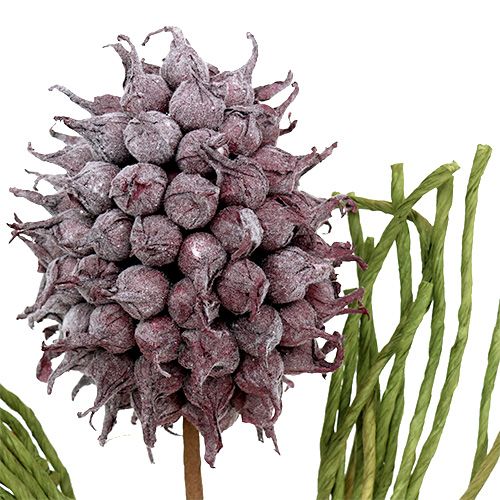 Floristik24 Fleur en mousse en violet L65cm