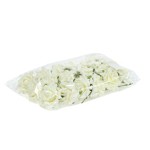 Mousse Rose Ø7,5cm Crème 18 pcs | Floristik24.be