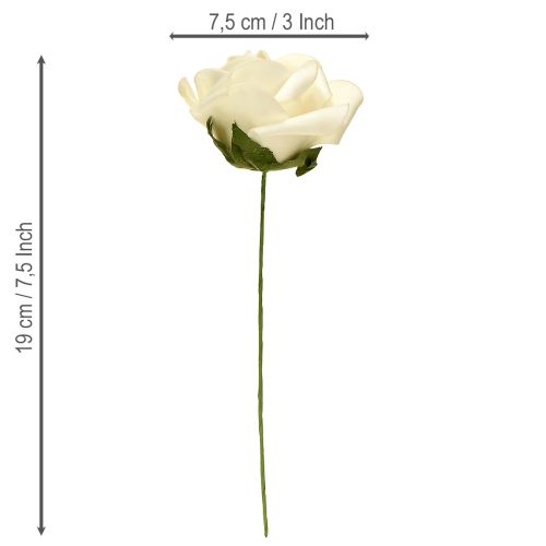Article Roses en mousse Fleurs avec tiges Crème Ø7,5cm 18 pcs
