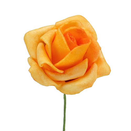 Floristik24 Rose en mousse Ø 3,5cm Abricot 48 pcs