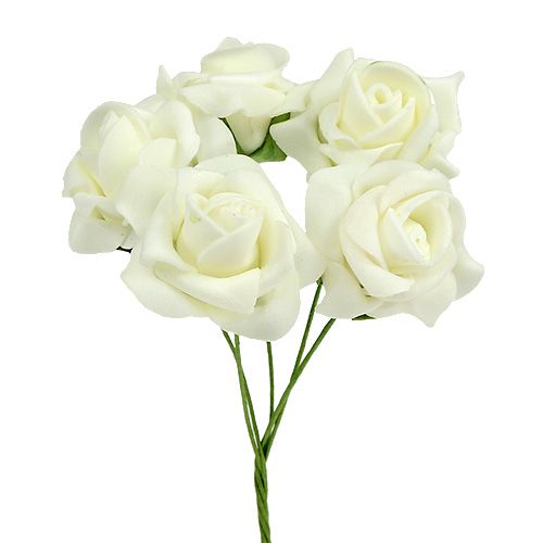 Mousse Rose Ø3,5cm Crème 48 pcs acheter | Floristik24.be
