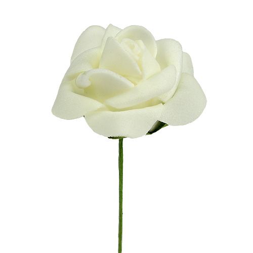 Mousse Rose Ø3,5cm Crème 48 pcs | Floristik24.be
