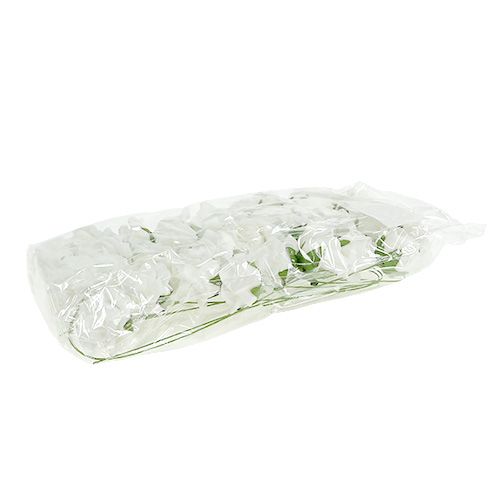 Article Rose mousse Ø4.5cm blanc 36pcs