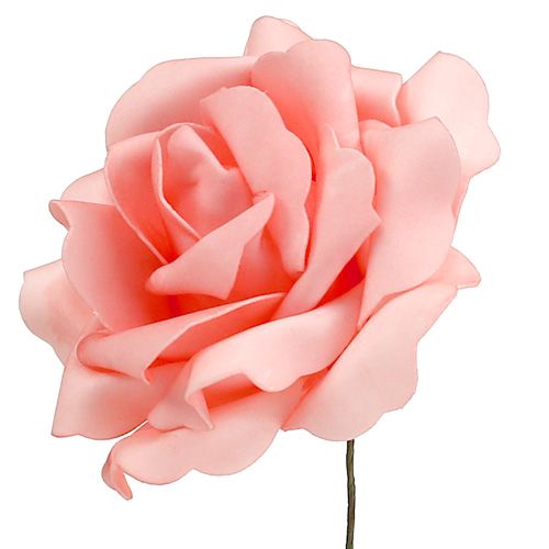 Floristik24 Mousse Rose Mousse Rose Saumon Ø15cm 4pcs