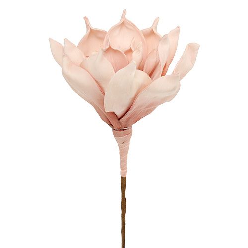 Floristik24 Fleur de magnolia en mousse rose Ø15cm L65cm