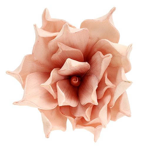 Article Fleur de magnolia en mousse rose Ø15cm L65cm