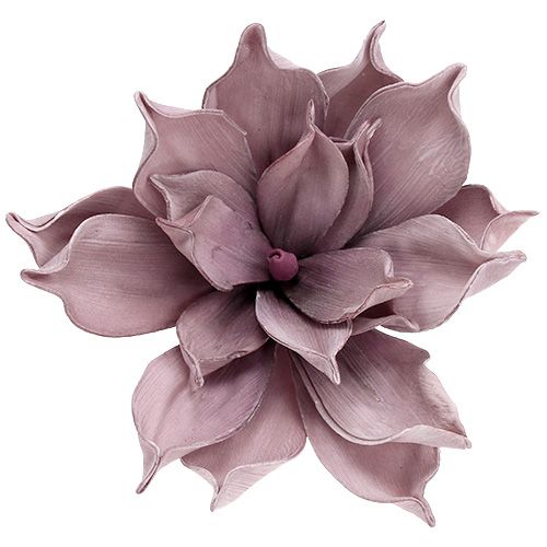 Floristik24 Magnolia en mousse en magenta Ø15cm L67cm