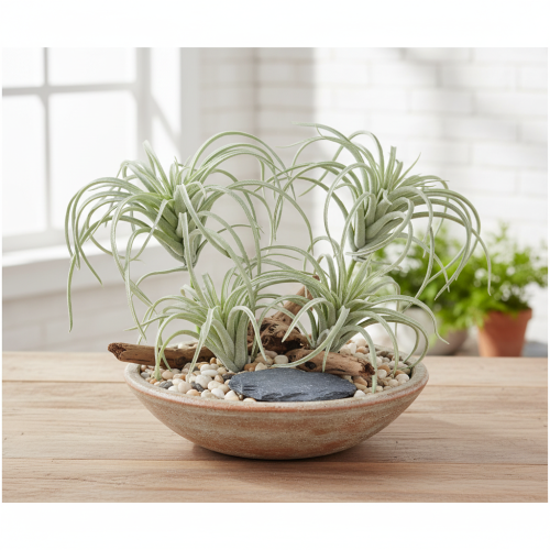 Article Plantes vertes artificielles succulentes Tillandsia 13 cm