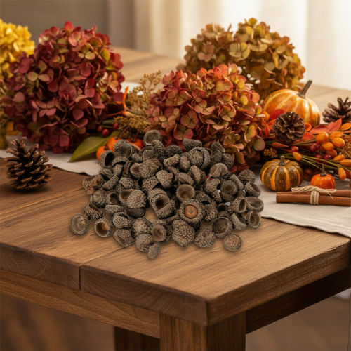 Coupes décoratives en forme de glands naturels, pour l'automne et l'Avent, 2 cm, 300 g | Floristik24.be