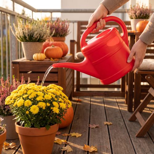 Arrosoir de 5 litres | Floristik24.be