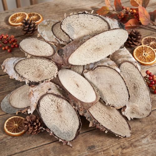Tranches de bois de bouleau tranches de bouleau ovales 4-9cm 450g | Floristik24.be