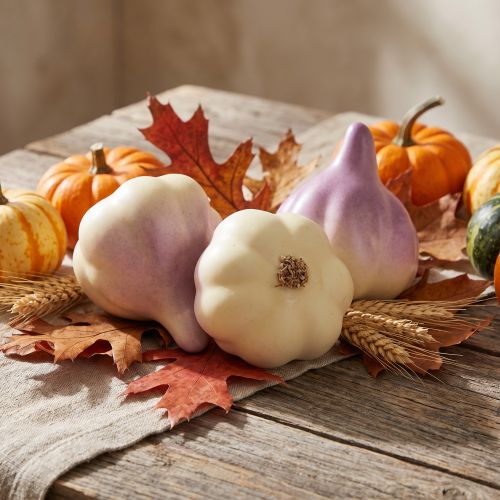 Décoration végétale ail jaune violet dans le filet Ø4,5cm 12 pièces | Floristik24.be