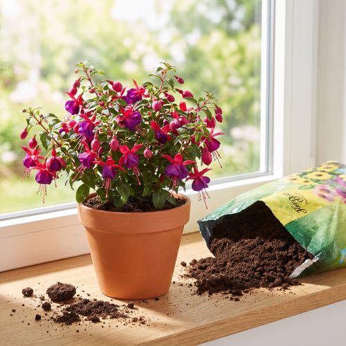 Terreau FlorBest pour jardiniers, enrichi en argile naturelle et en engrais à libération lente, 5 litres | Floristik24.be