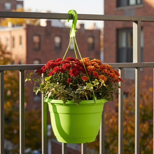 Panier suspendu 25cm vert | Floristik24.be
