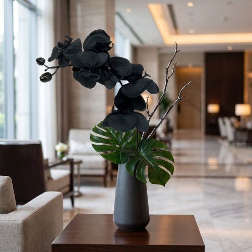 Orchidée à décorer Noir 54cm | Floristik24.be
