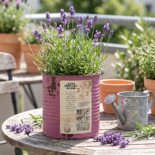 Jardinière décorative vintage en métal violet, décoration estivale Ø11cm H10.5cm | Floristik24.be