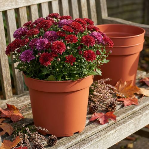 Cache-pot plastique Ø23cm 10pcs | Floristik24.be