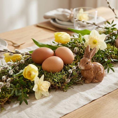 Article Oeufs de poule bruns 10 pcs