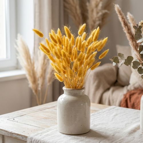 Lagurus jaune, herbe veloutée, herbe queue de lapin L20-50cm 25g | Floristik24.be