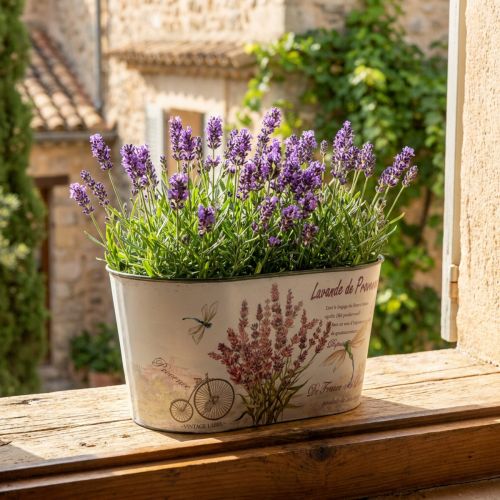 Bol à fleurs ovale pot de fleur lavande plastique 21,5×12,5cm H11cm | Floristik24.be