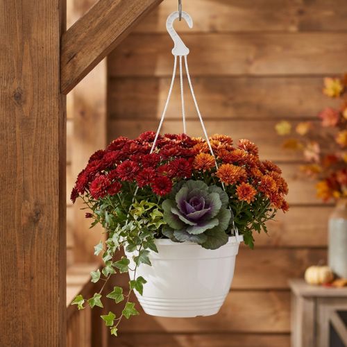 Panier suspendu Ø30cm blanc | Floristik24.be