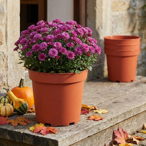 Cache-pot plastique Ø26cm 10pcs | Floristik24.be