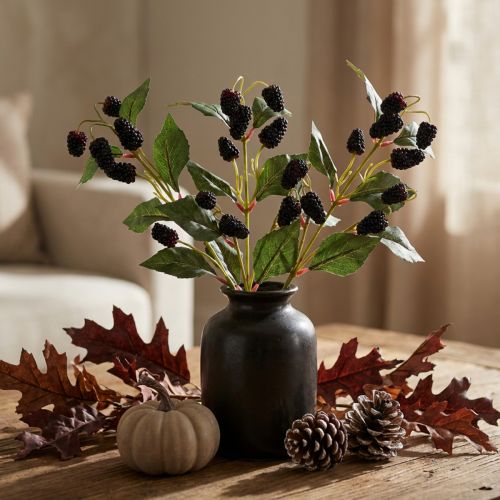 Branche décorative de haute qualité avec des mûres pour des compositions élégantes. | Floristik24.be