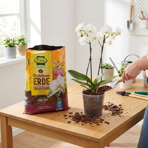 Terreau FRUX pour orchidées (5 litres) | Floristik24.be
